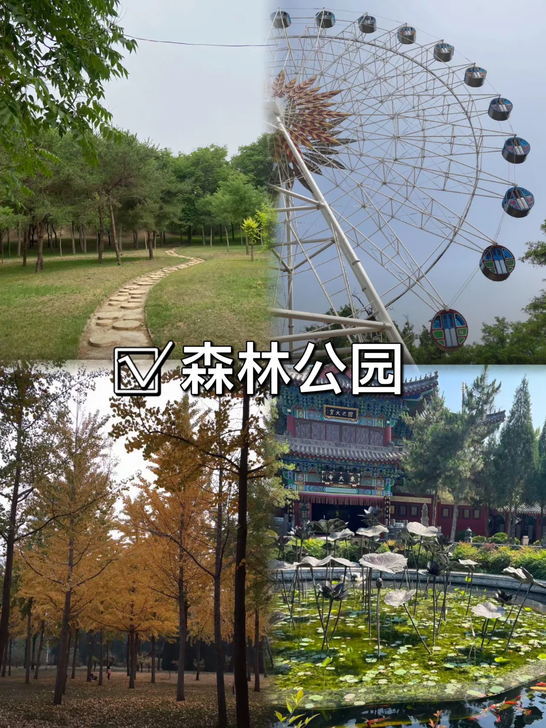 03女大📍邢台/两天一夜精华版旅游攻略