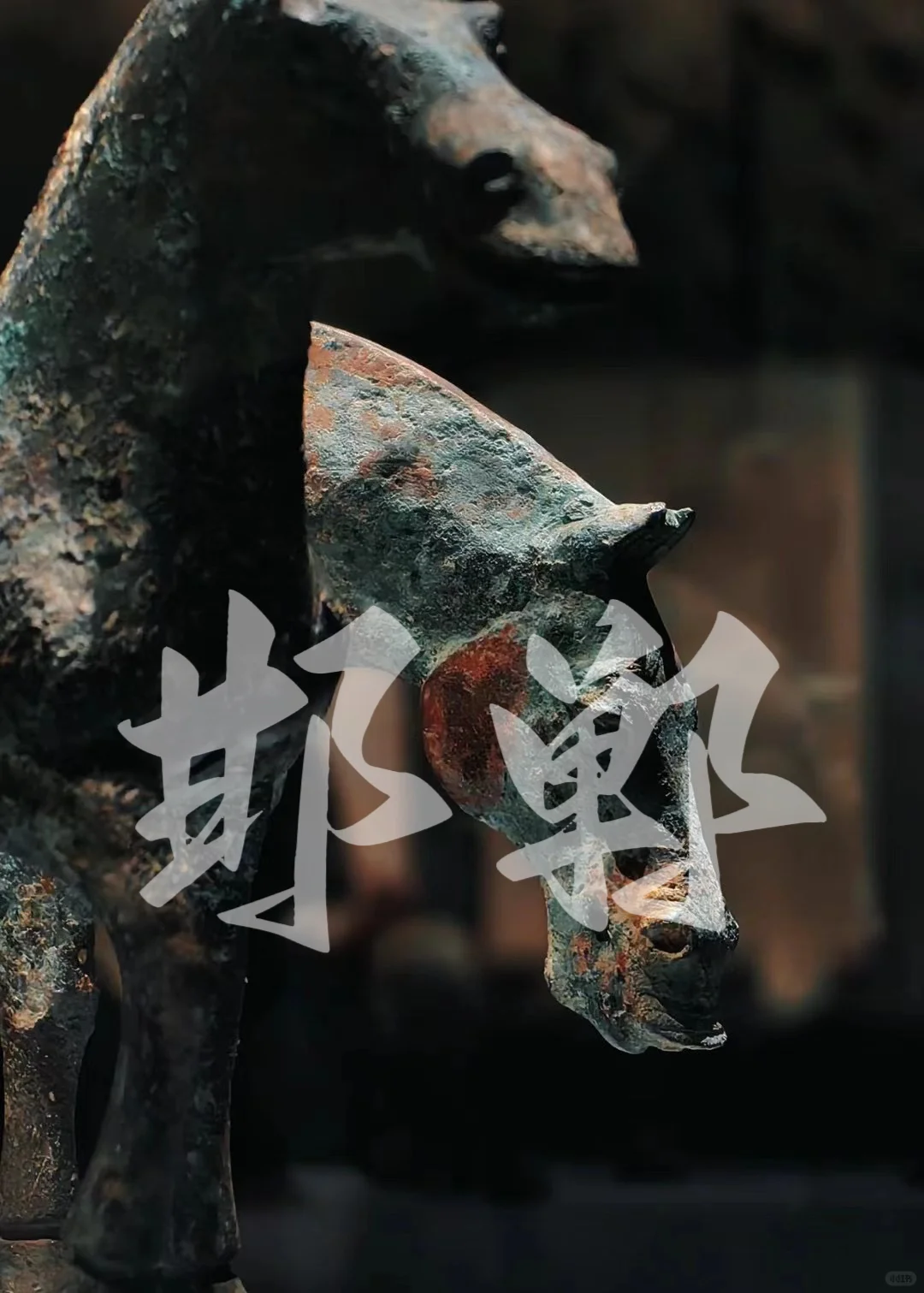 二毛带我看世界|河北邯郸