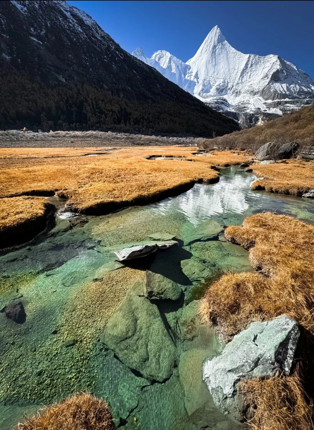 川西人民的嘴巴真严啊