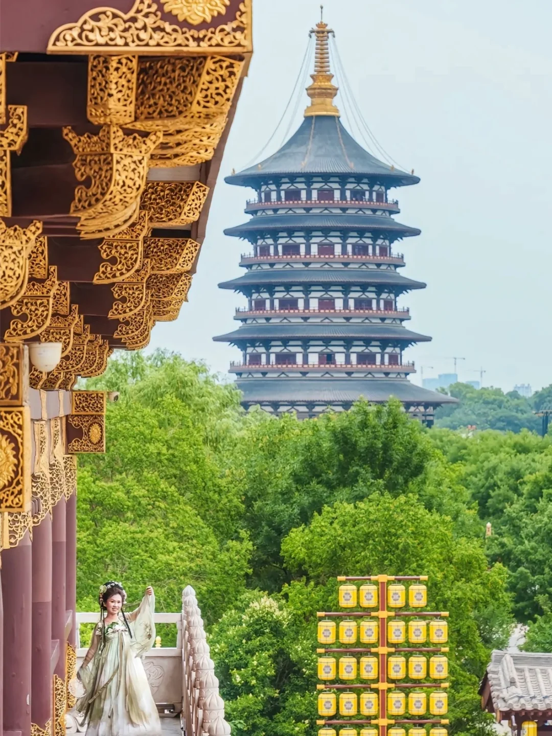 第一次带爸妈去洛阳(全攻略)