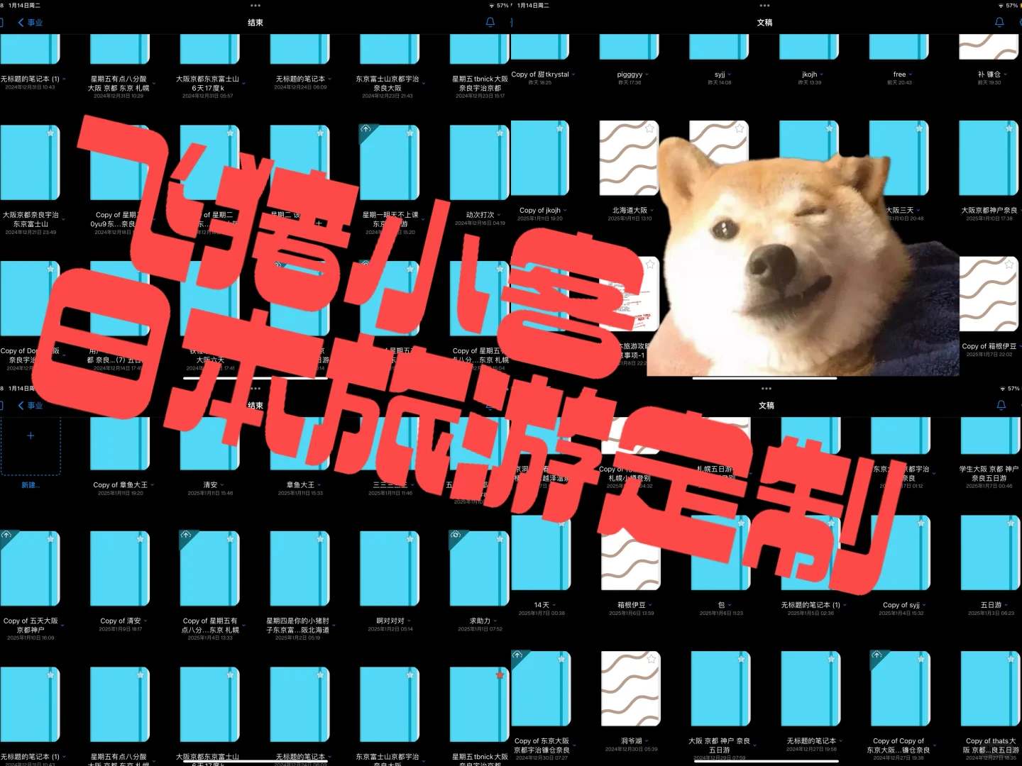 日本旅游攻略定制留子版，闲鱼销量前几