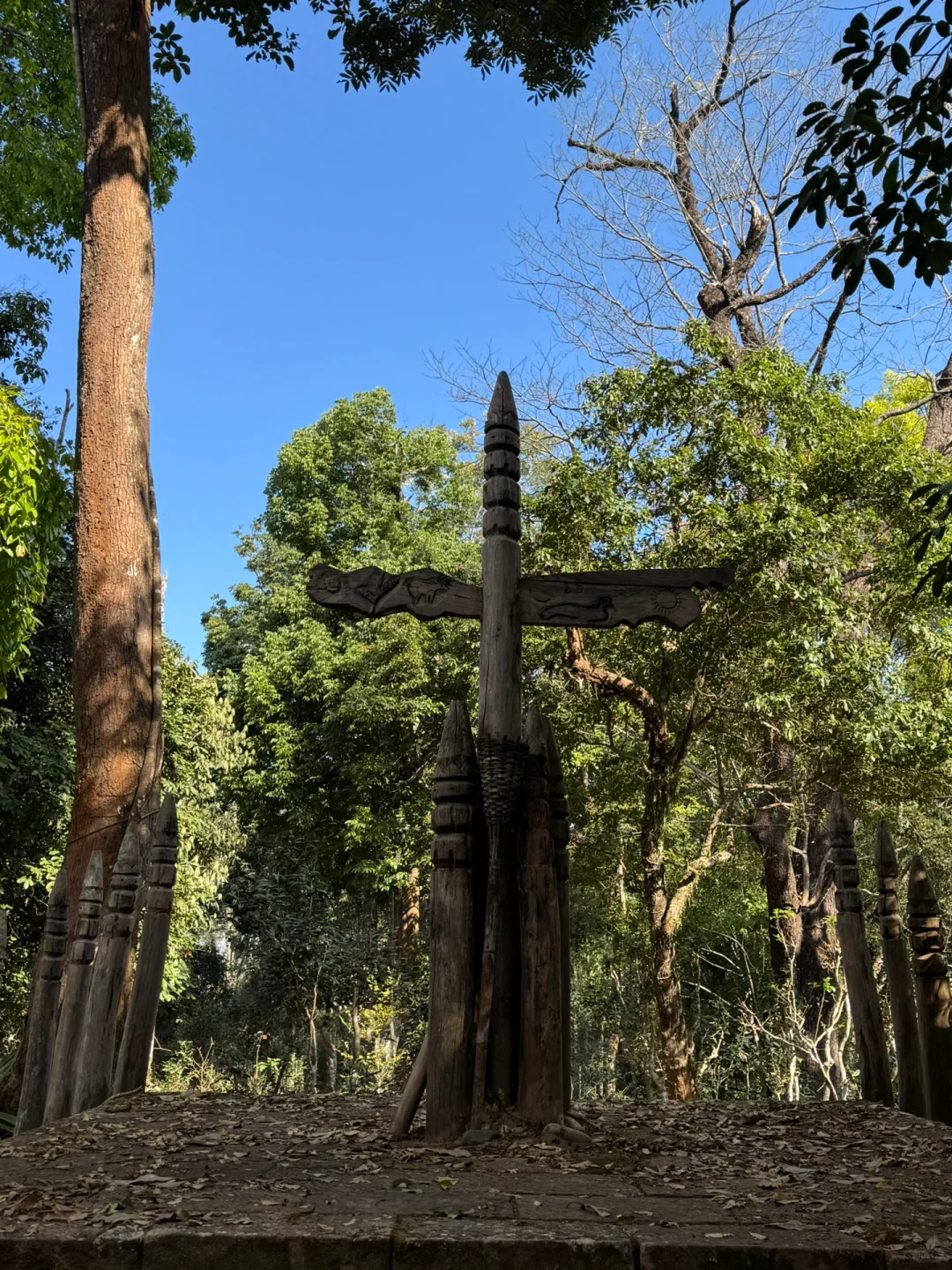 2025年1月12、13日景迈山旅游攻略