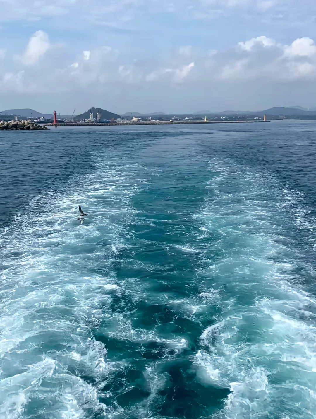 罗盘方向玩遍济州岛！！！这样走出片又省腿！！！