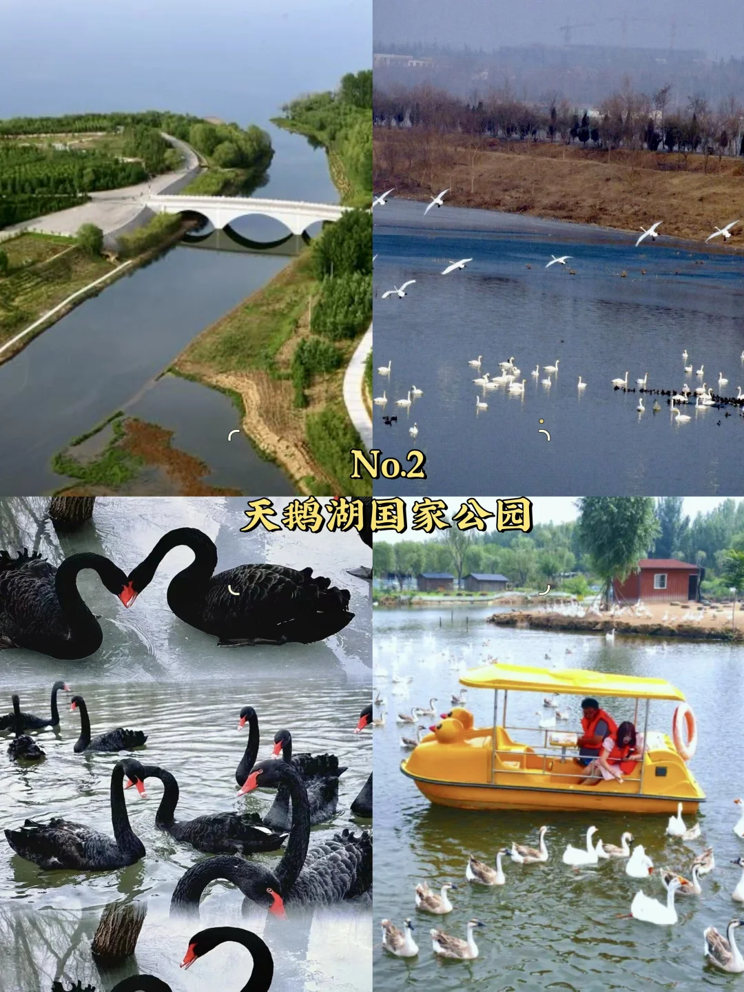 三门峡必去9大景点‼️三门峡旅游必看❗️