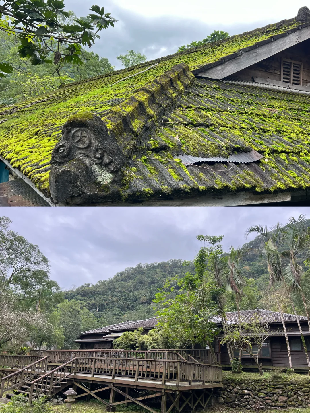 花蓮林田山,我來了~~