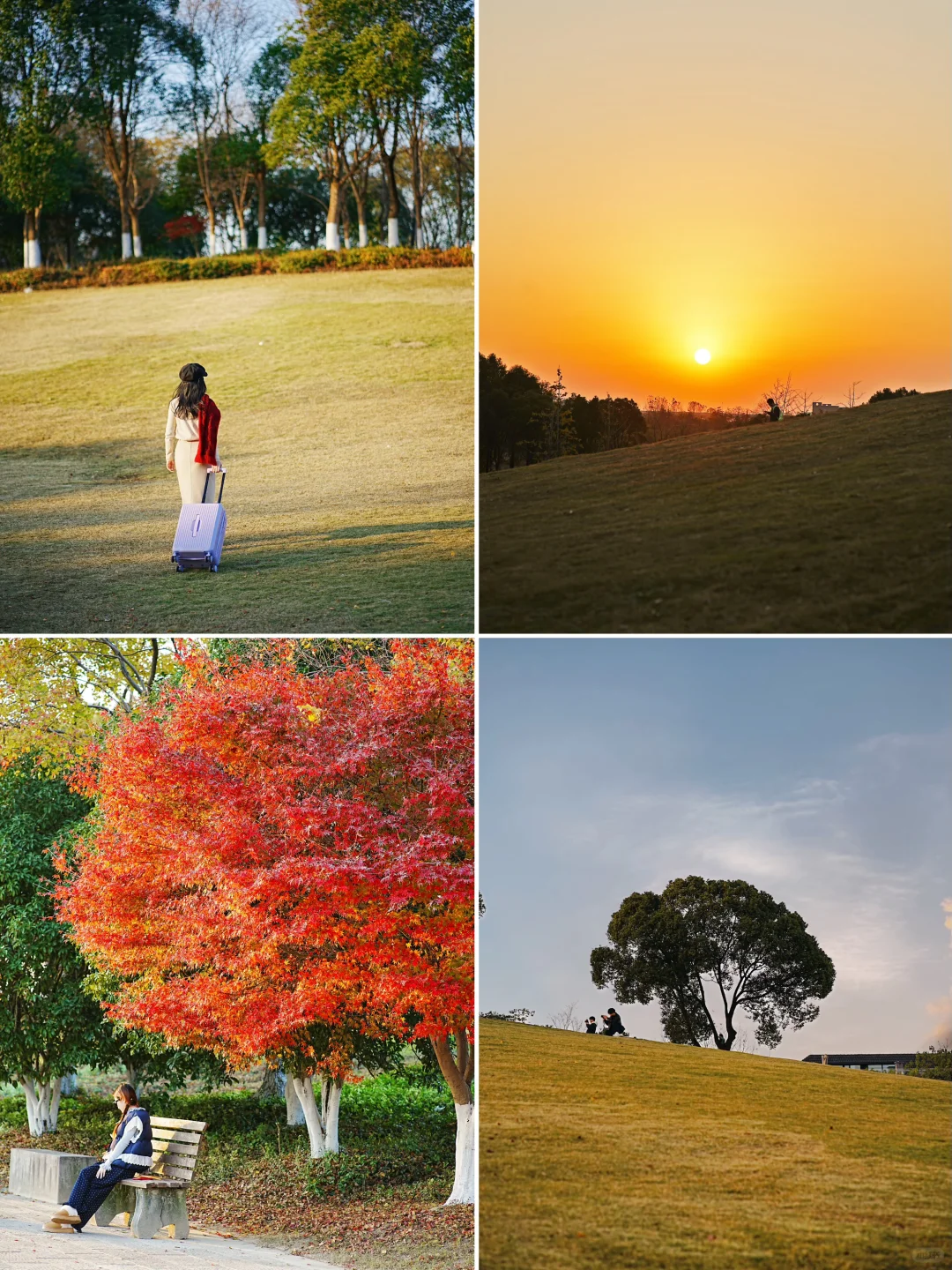 以为杭州西湖已经够美了，直到我来了这里…