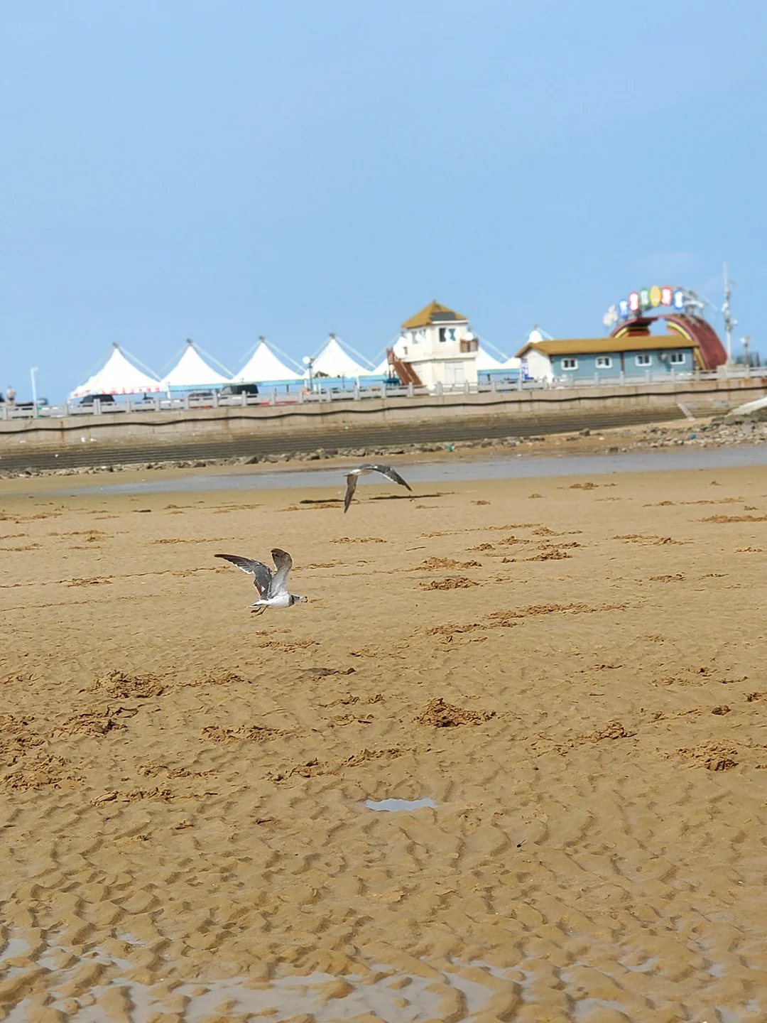 日照旅游攻略地图,一至三日旅游线路图