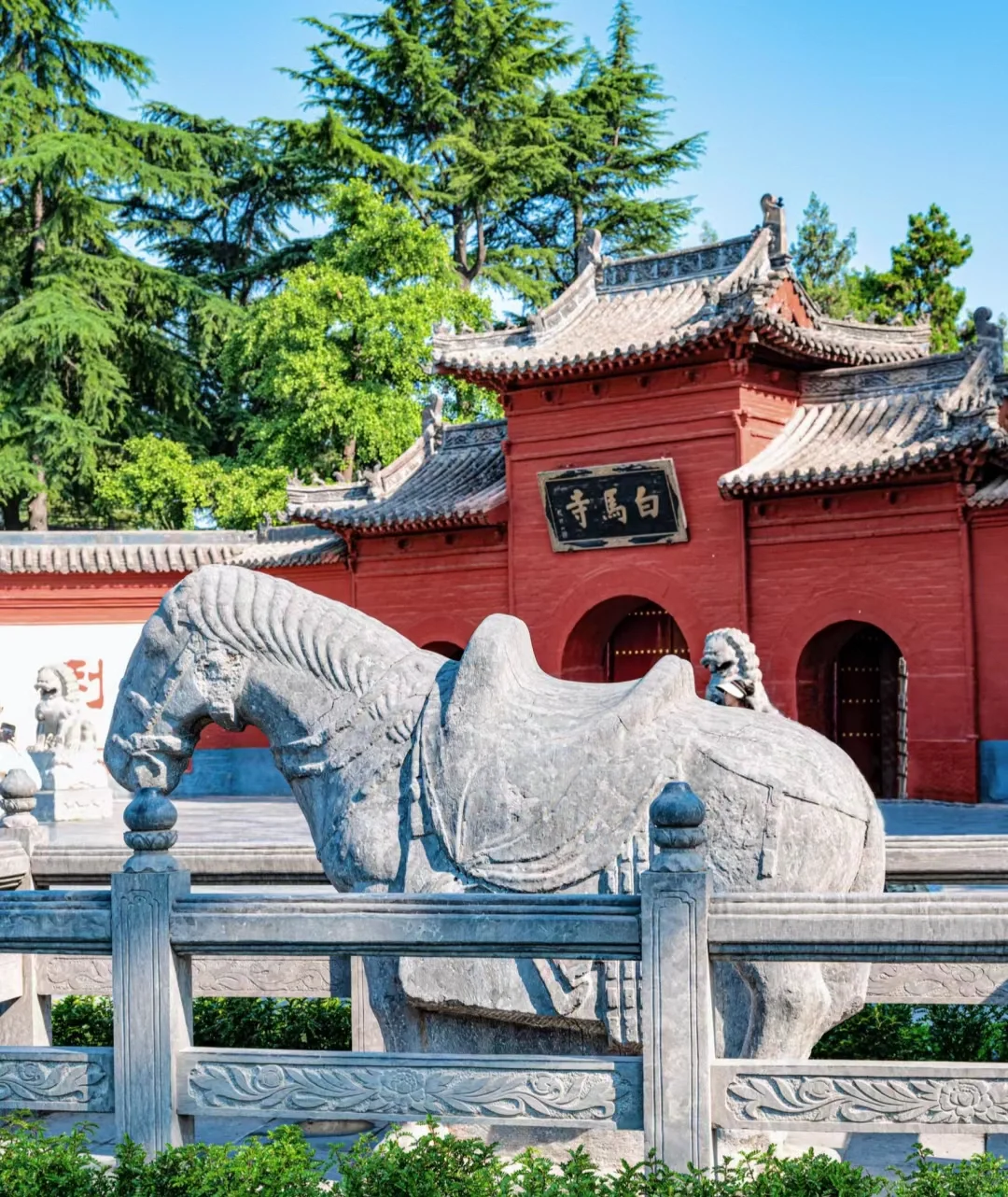 风吹洛阳城 花开盛唐梦