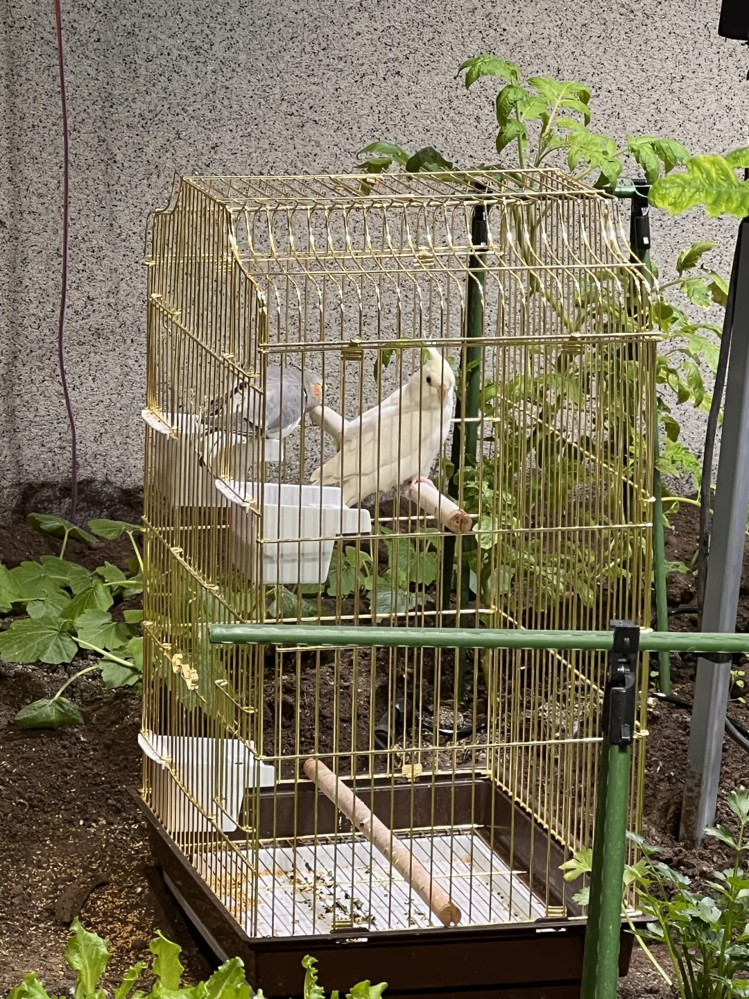 沈阳还是太超前了啊。。。😅