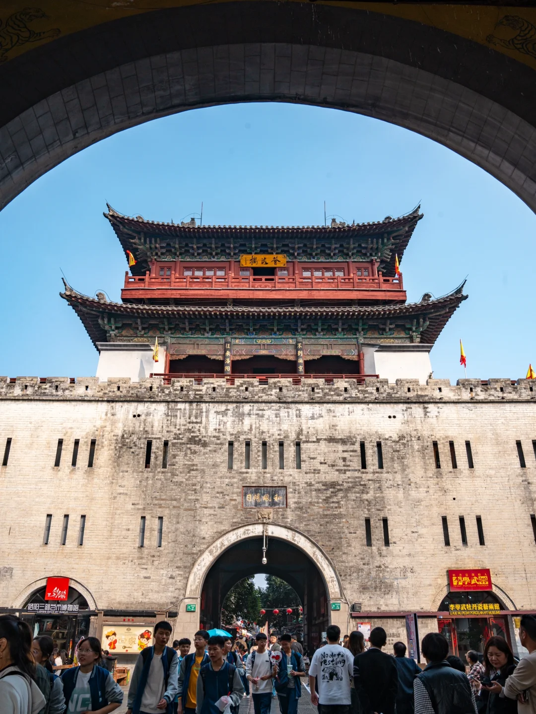 为了这1⃣️3⃣️张图特意飞了趟洛阳