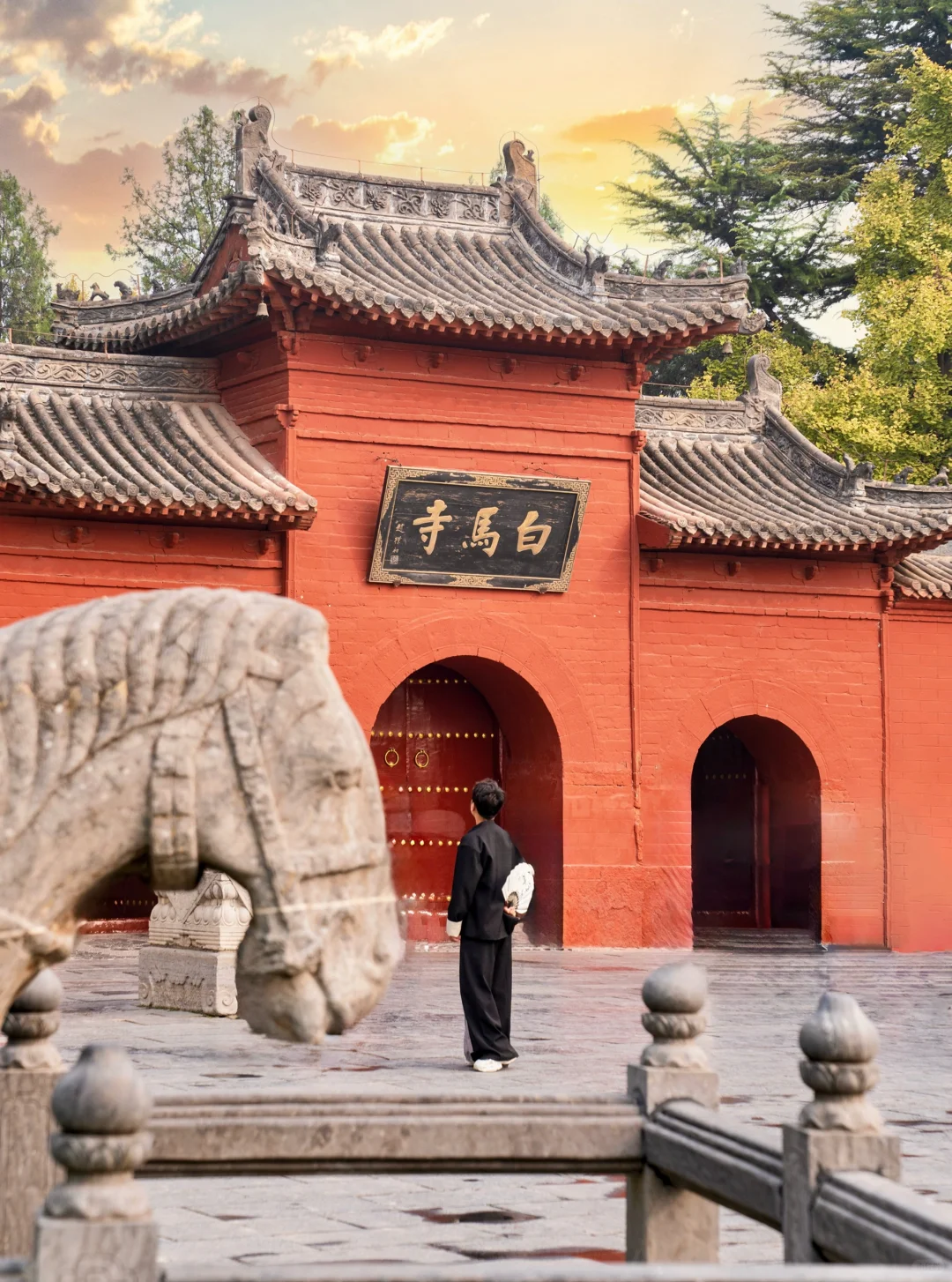 为了这1⃣️3⃣️张图特意飞了趟洛阳