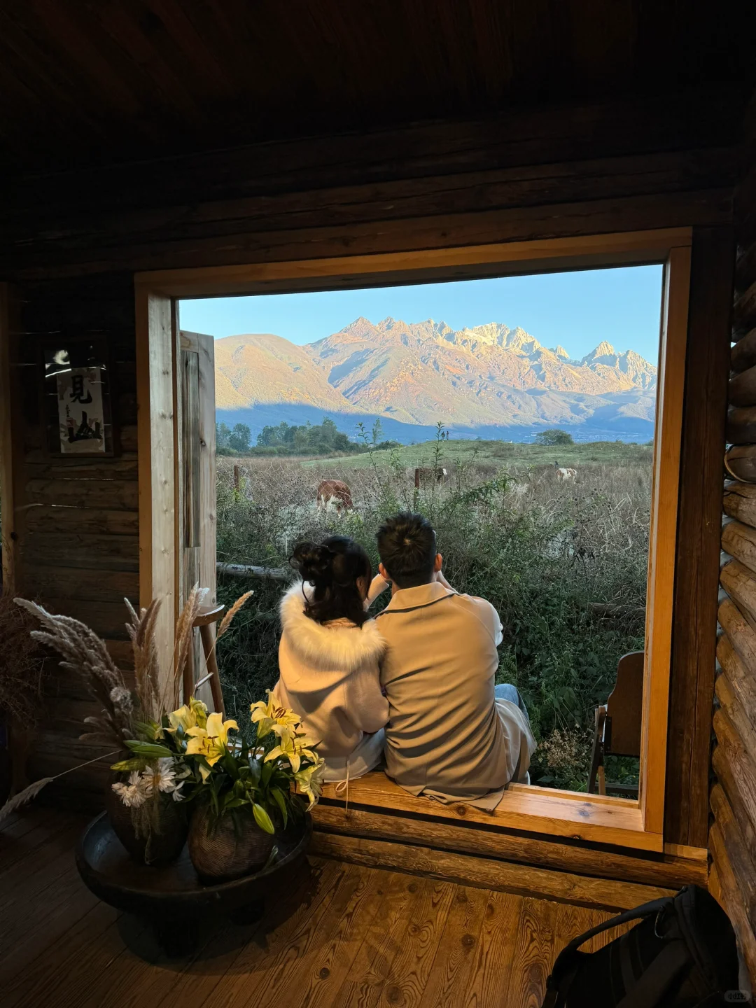 谁懂❗️在这些窗前我真的坐了一下午❗️