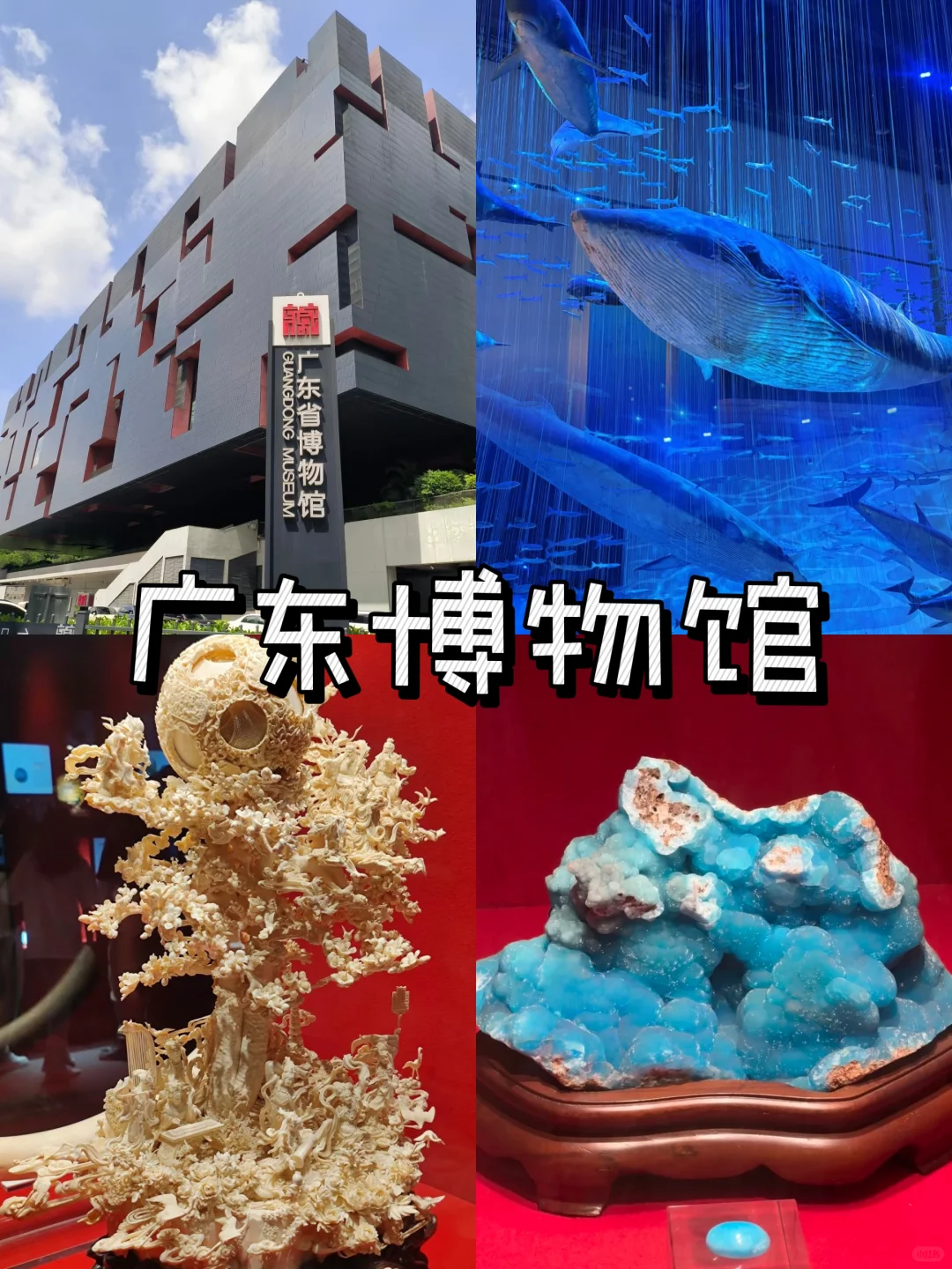 广州旅游｜✈️去这9️⃣大景点就足够了‼️