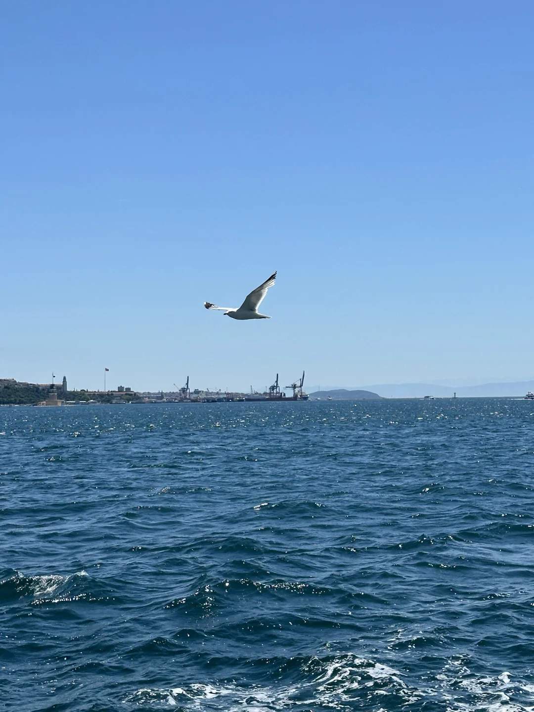 土耳其|伊斯坦布尔全攻略❗️价格刺客来袭🥷