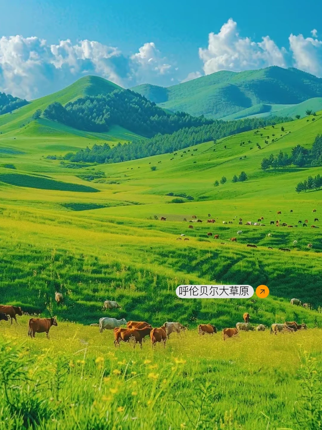 《国家地理》推荐✅国内50个必去景点❗