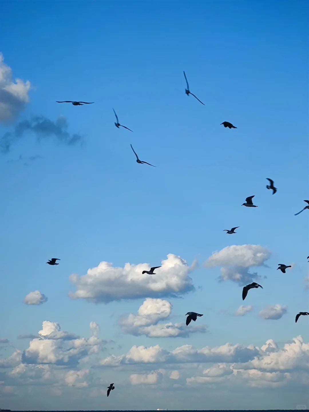 以为威海已经够美了，😆直到我去了烟台