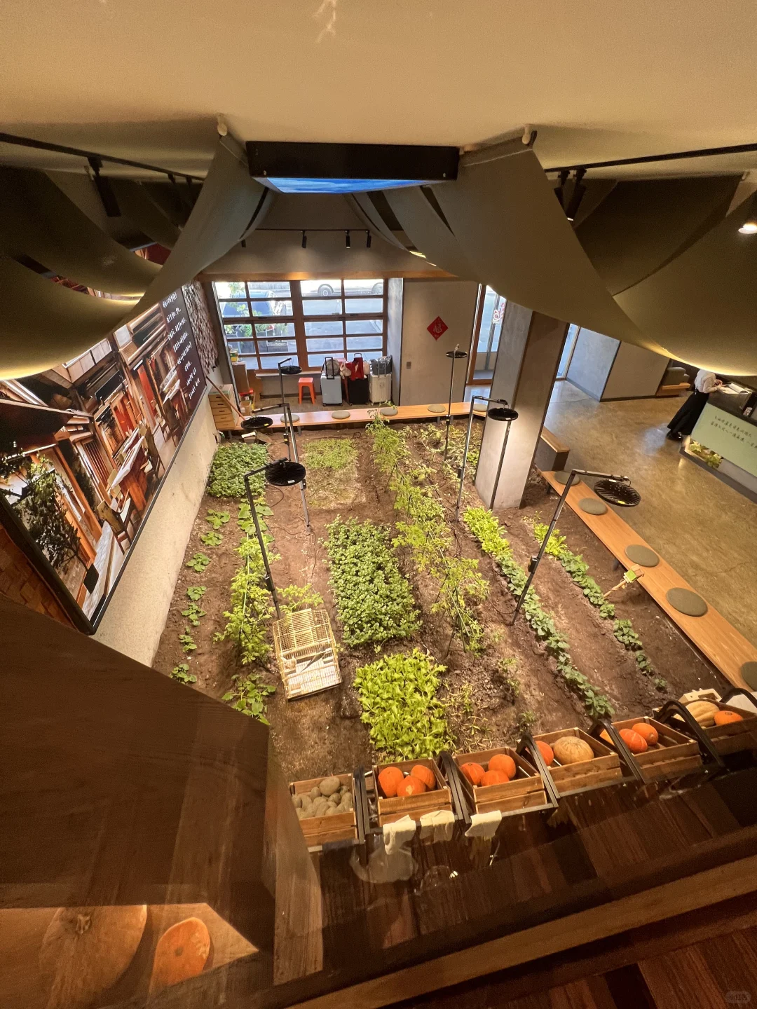 沈阳还是太超前了啊。。。😅