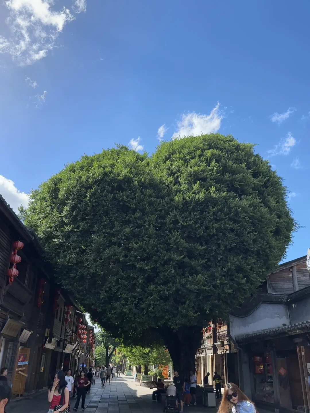 周末离沪计划(4/20)｜福建旅游看这篇就够了！