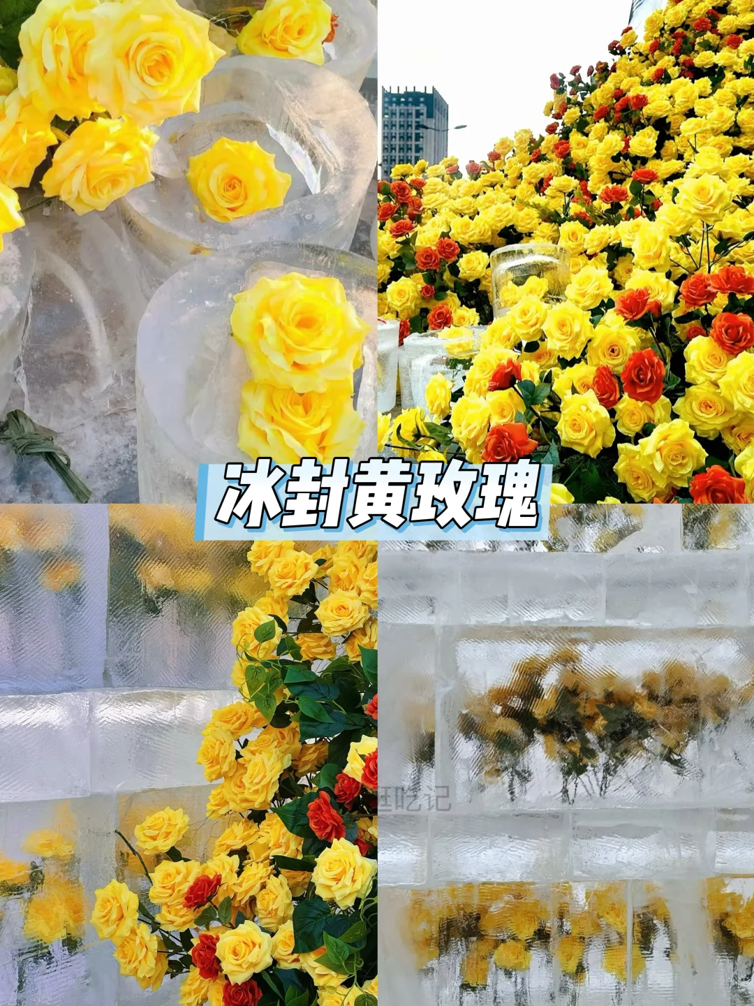 1月来哈尔滨，6️⃣个免费打卡点不能错过！