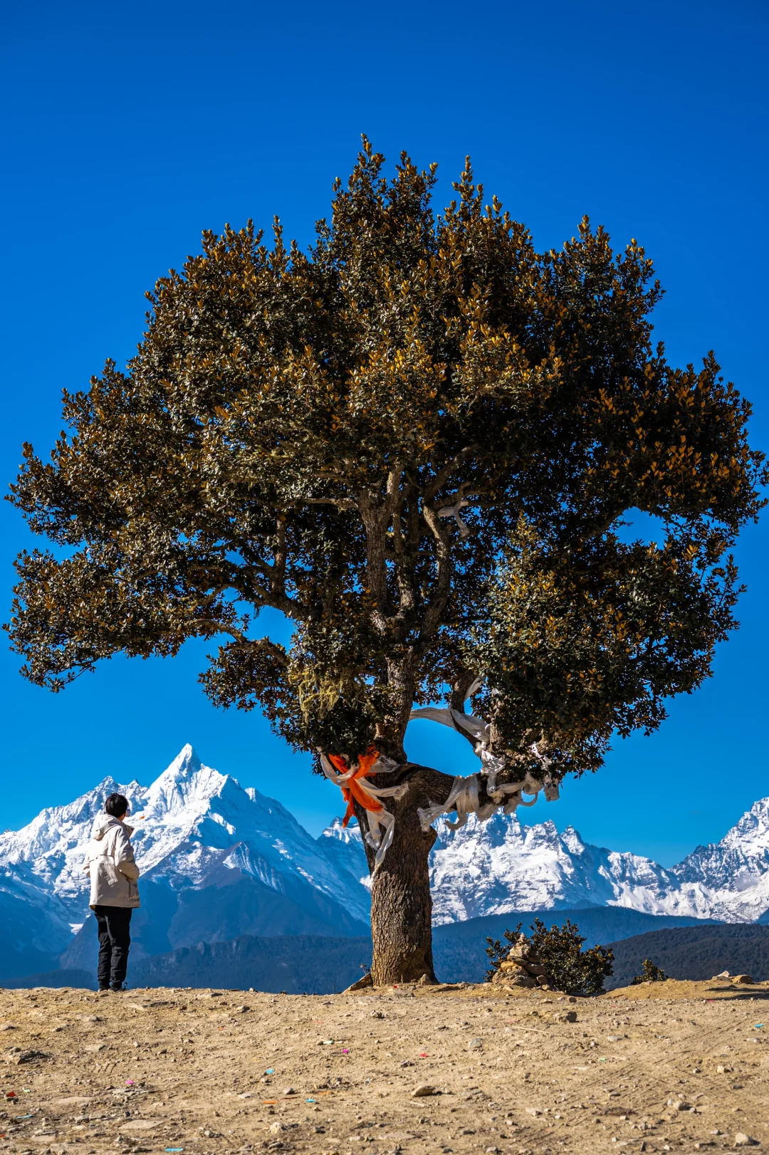 《国家地理》没有骗我，梅里雪山真的美哭了