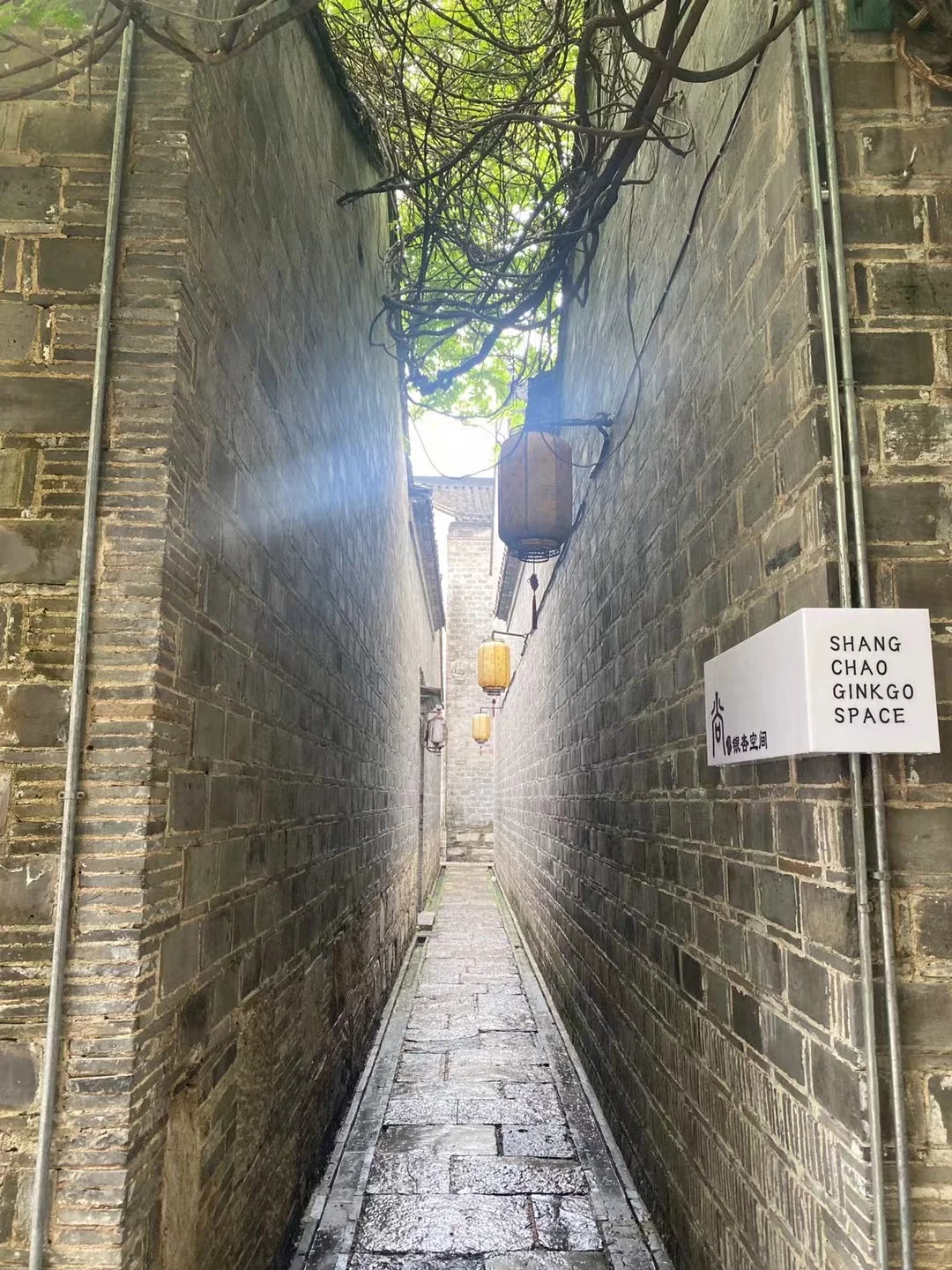 南京超详细景点分布及游玩攻略‼️省时省力！