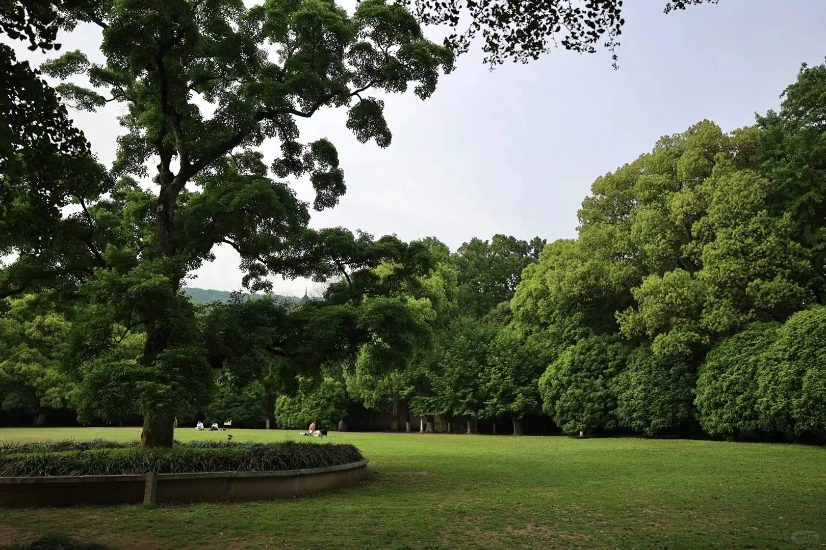 南京超详细景点分布及游玩攻略‼️省时省力！
