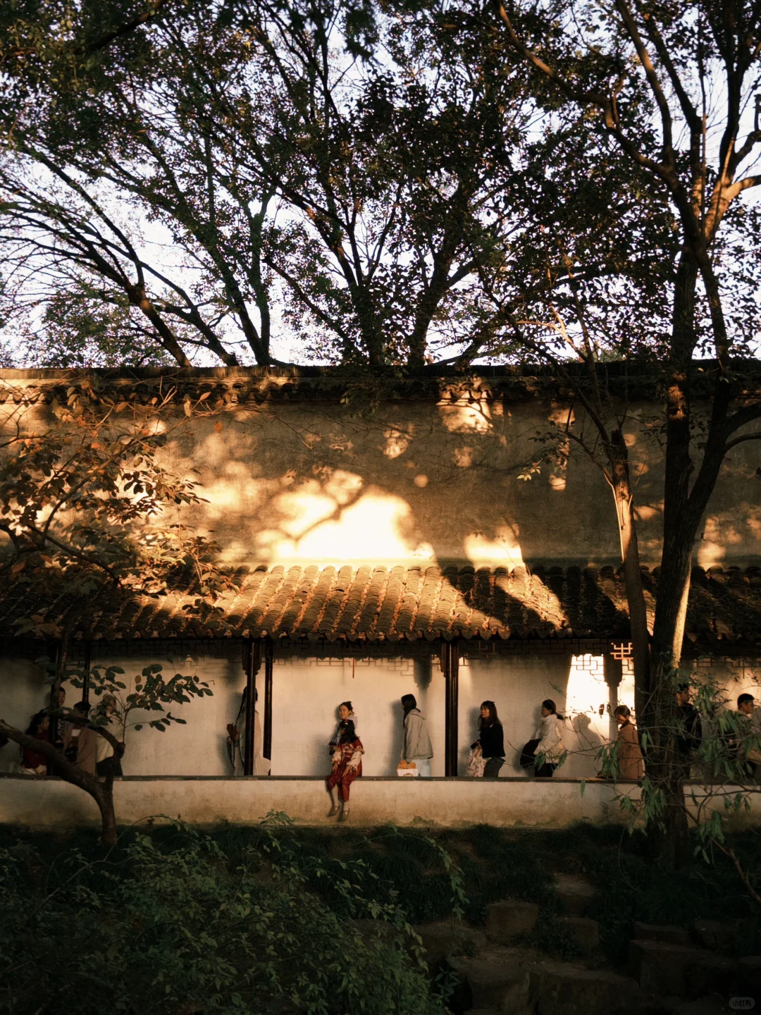 苏州省时省力旅行安排攻略‼️自用路线总结！