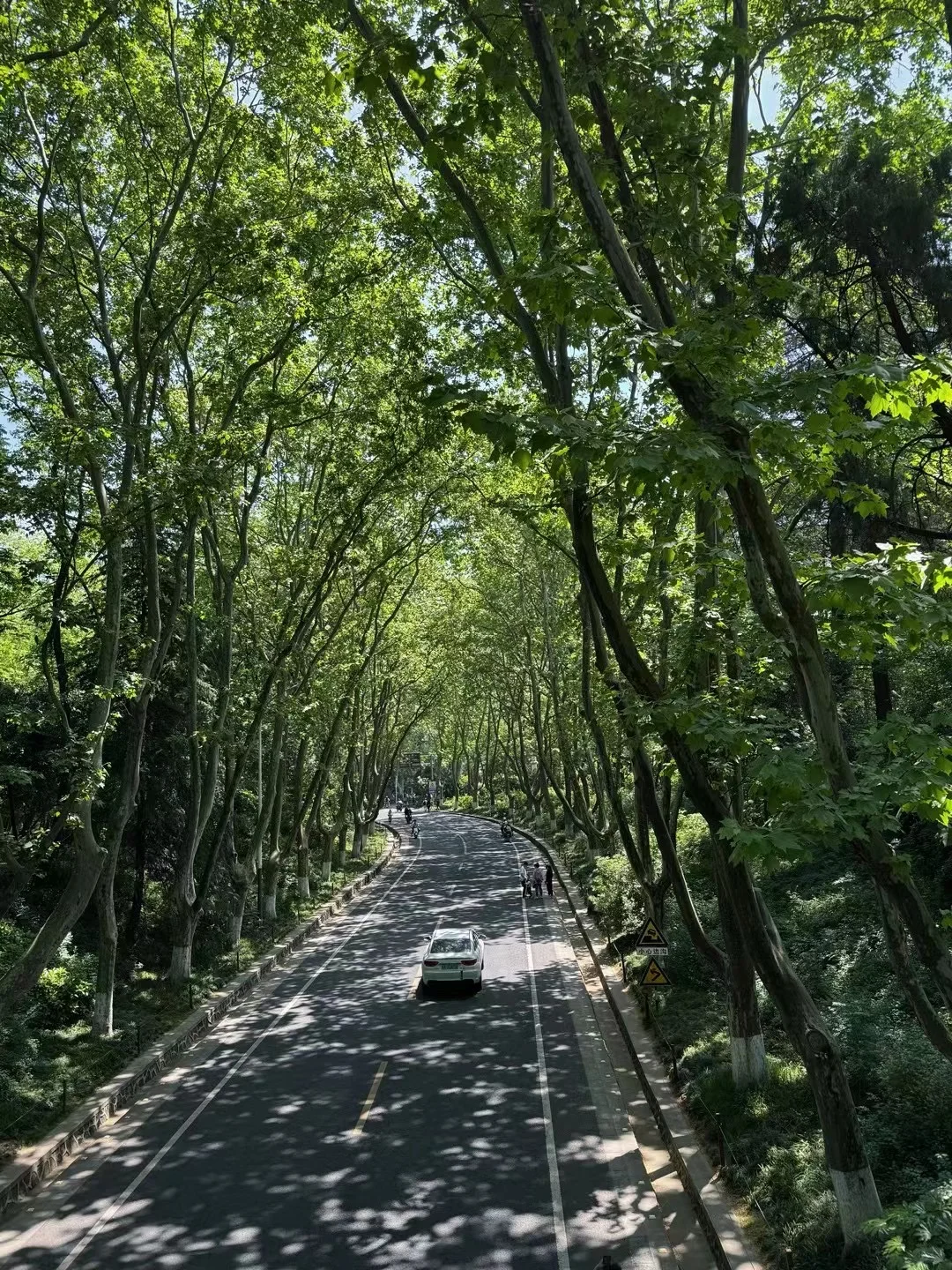 南京超详细景点分布及游玩攻略‼️省时省力！