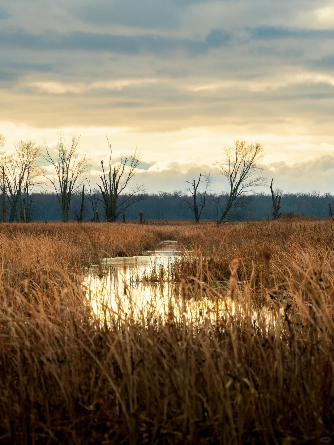 春节反向玩8个小众城市,温暖整个冬天
