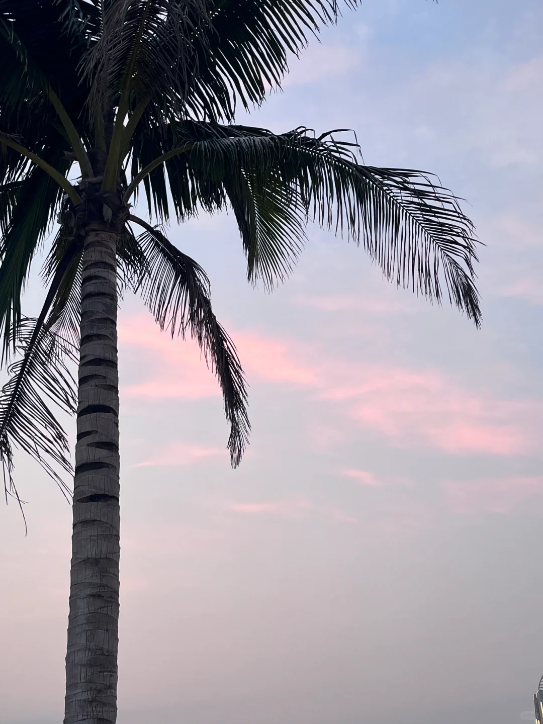 成都-北海🏝️｜学生党四天三晚人均1200