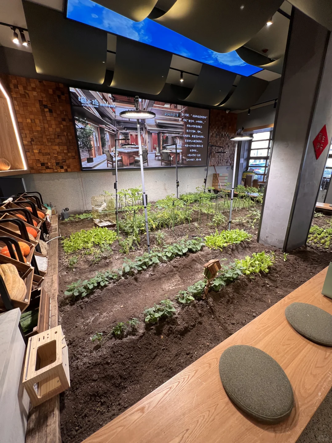 沈阳还是太超前了啊。。。😅