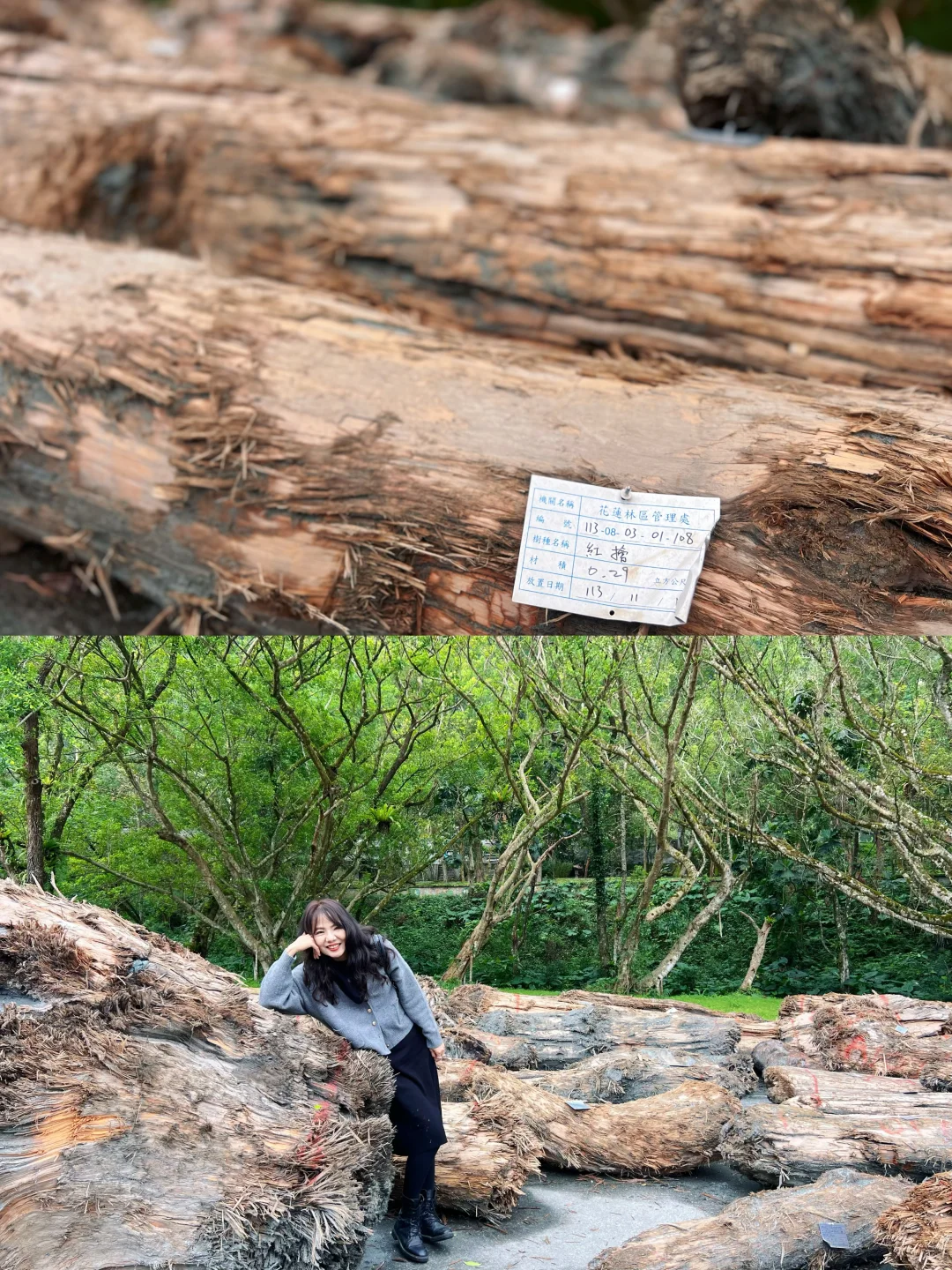 花蓮林田山,我來了~~