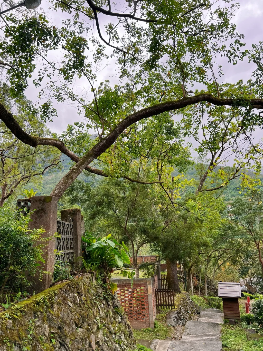 花蓮林田山,我來了~~