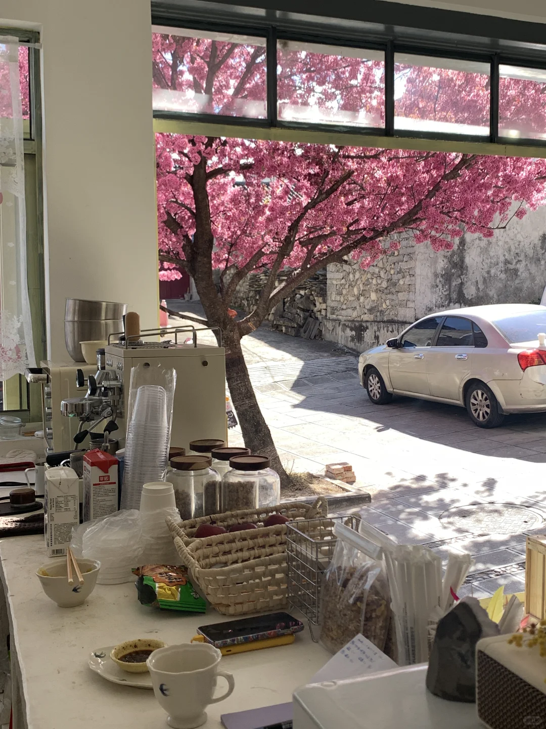 谁懂❗️在这些窗前我真的坐了一下午❗️