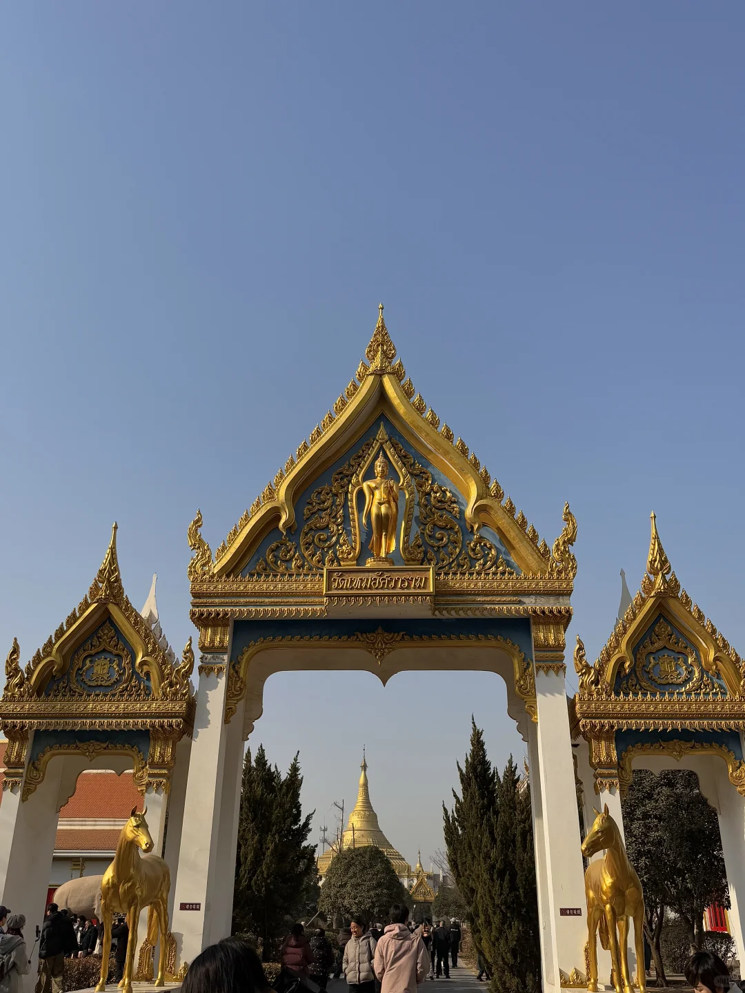 孕18w｜许昌&洛阳三天两晚旅游攻略🏮