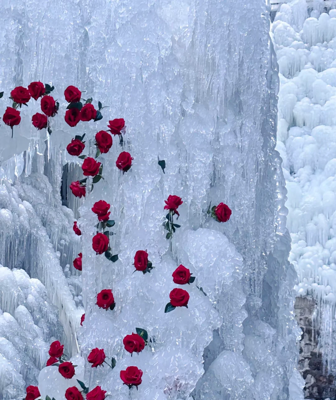 邯郸|这真的是邯郸!!!