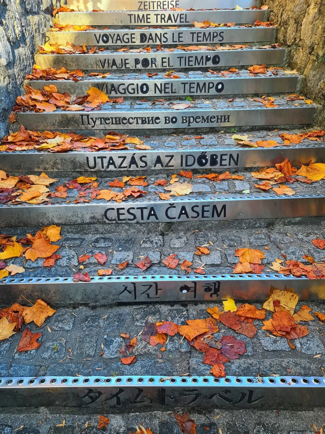 旅行🙅不打卡——慢游🇦🇹哈尔施塔特旅行指南