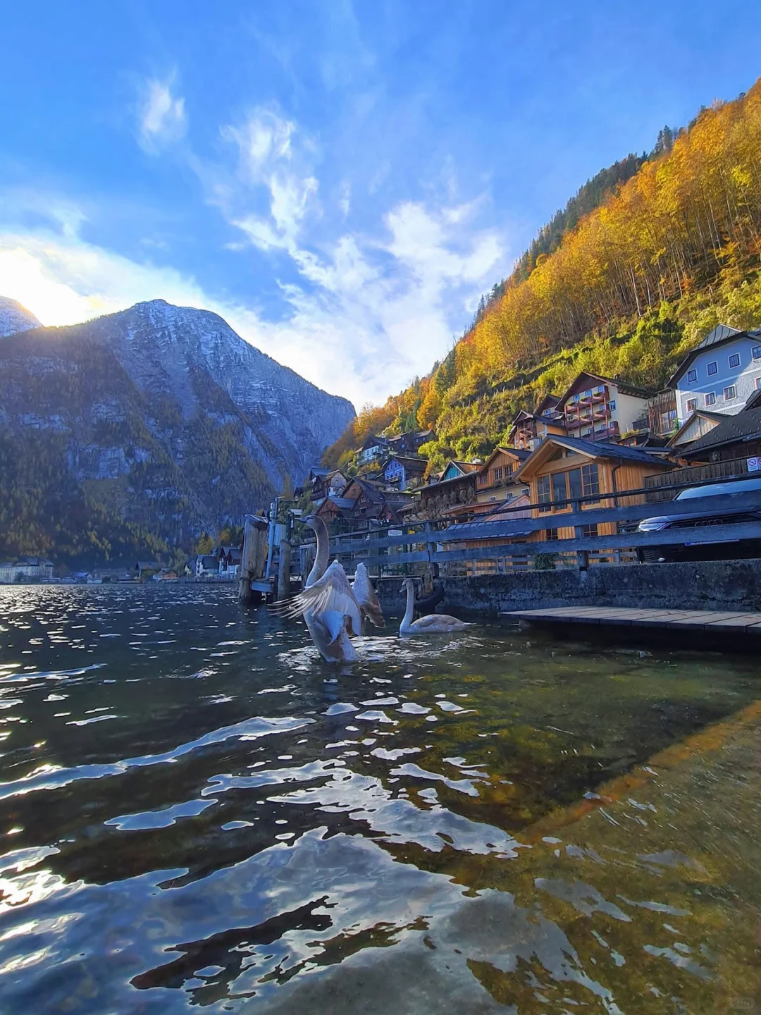 旅行🙅不打卡——慢游🇦🇹哈尔施塔特旅行指南