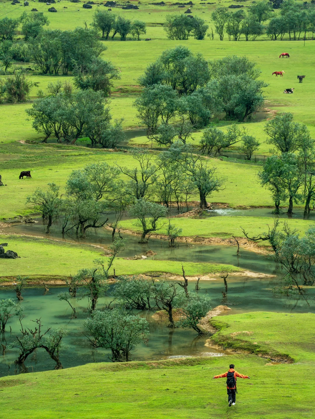 2024年，我去过最美的18个户外目的地❗️