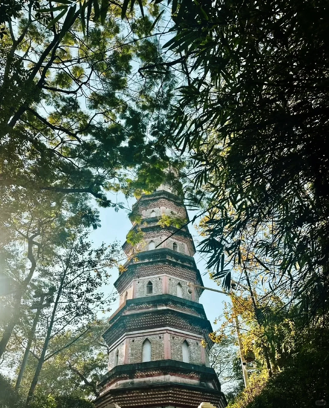 去过惠州不下30次,最满意的一日游路线