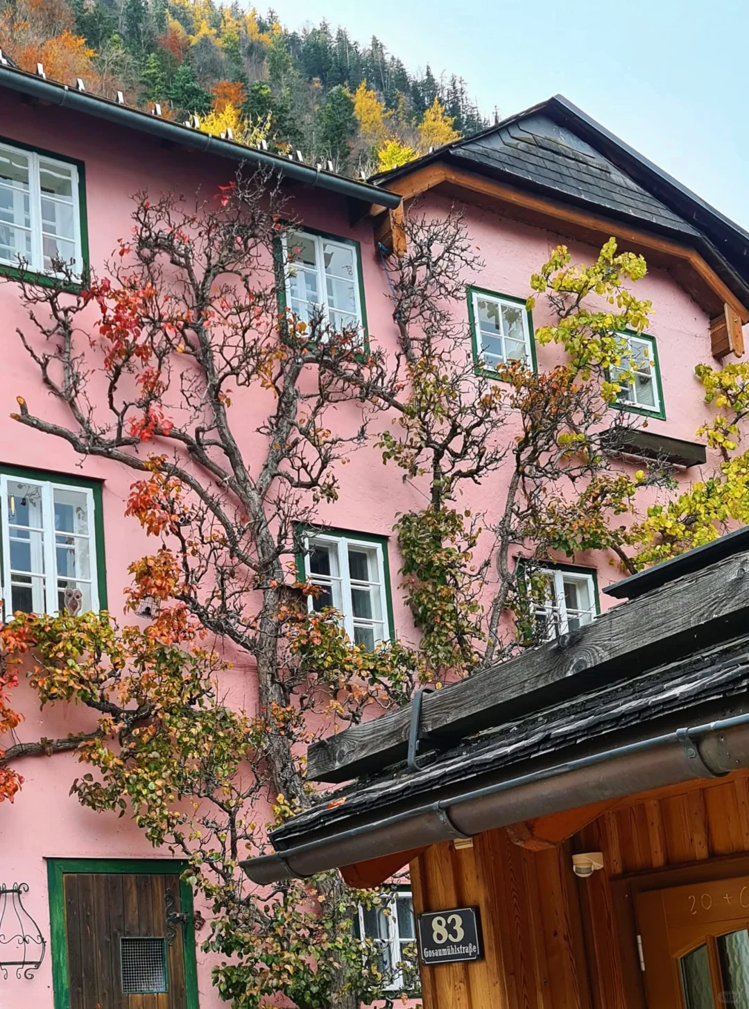 旅行🙅不打卡——慢游🇦🇹哈尔施塔特旅行指南