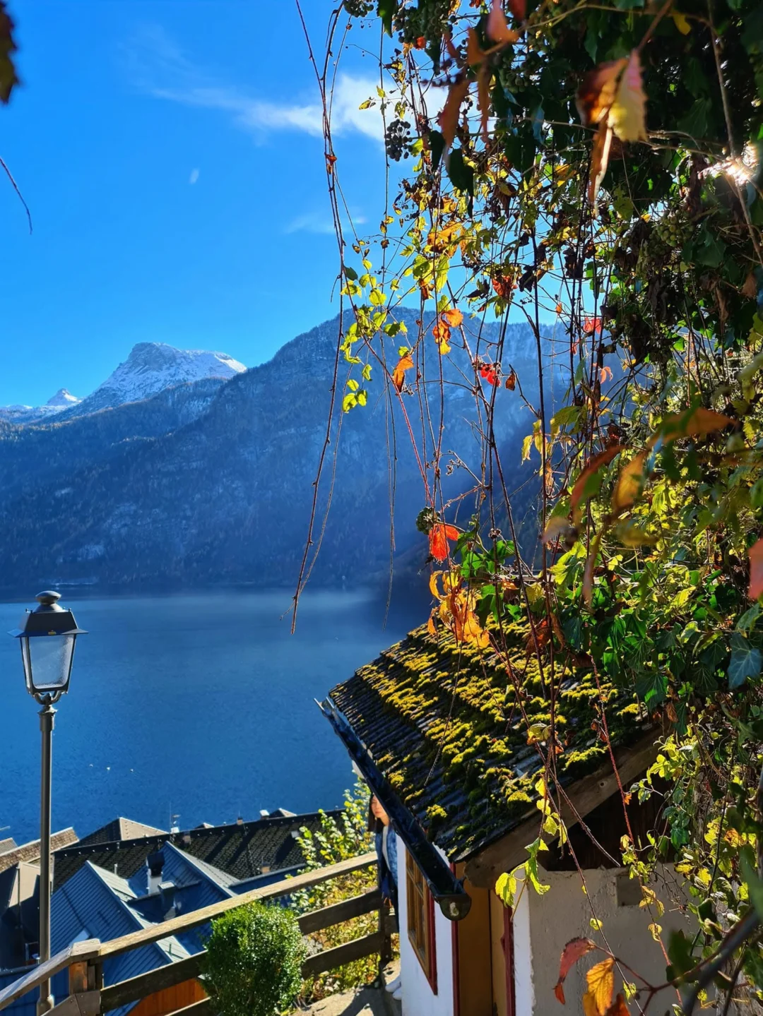 旅行🙅不打卡——慢游🇦🇹哈尔施塔特旅行指南