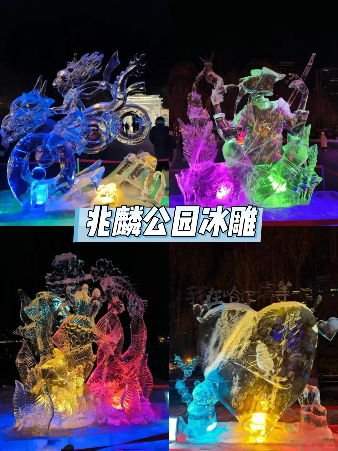 1月来哈尔滨，6️⃣个免费打卡点不能错过！