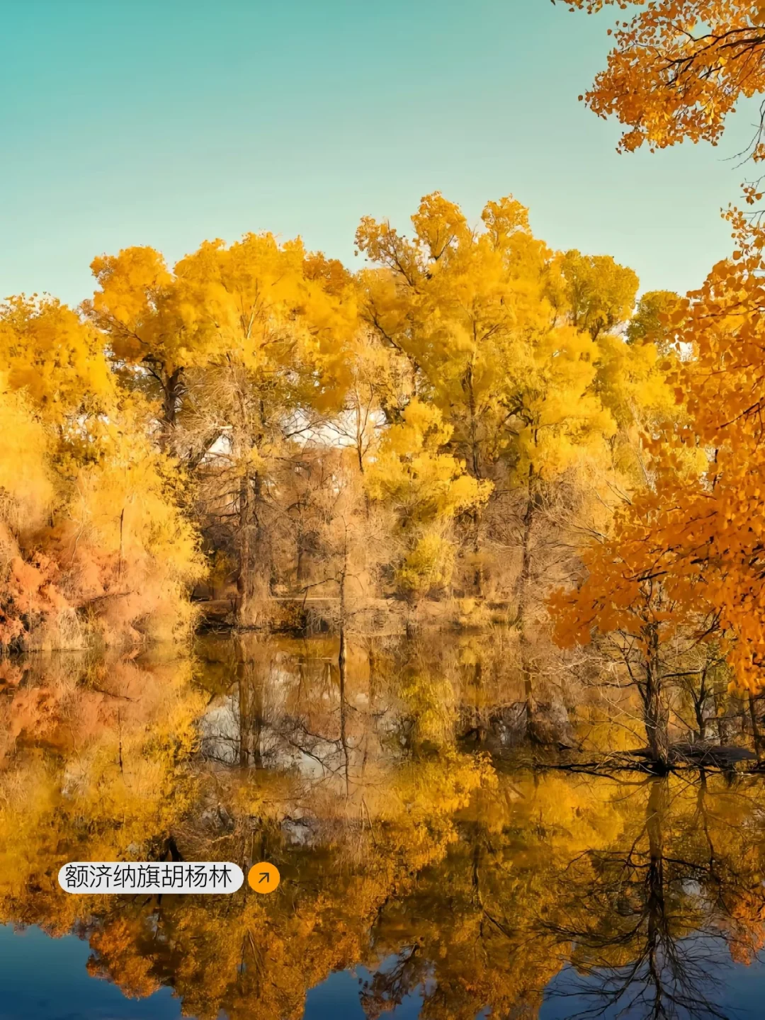 《国家地理》推荐✅国内50个必去景点❗