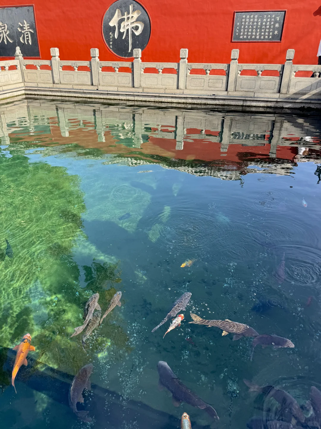 比起苏杭,我更爱这个北方人自己的梦中江南