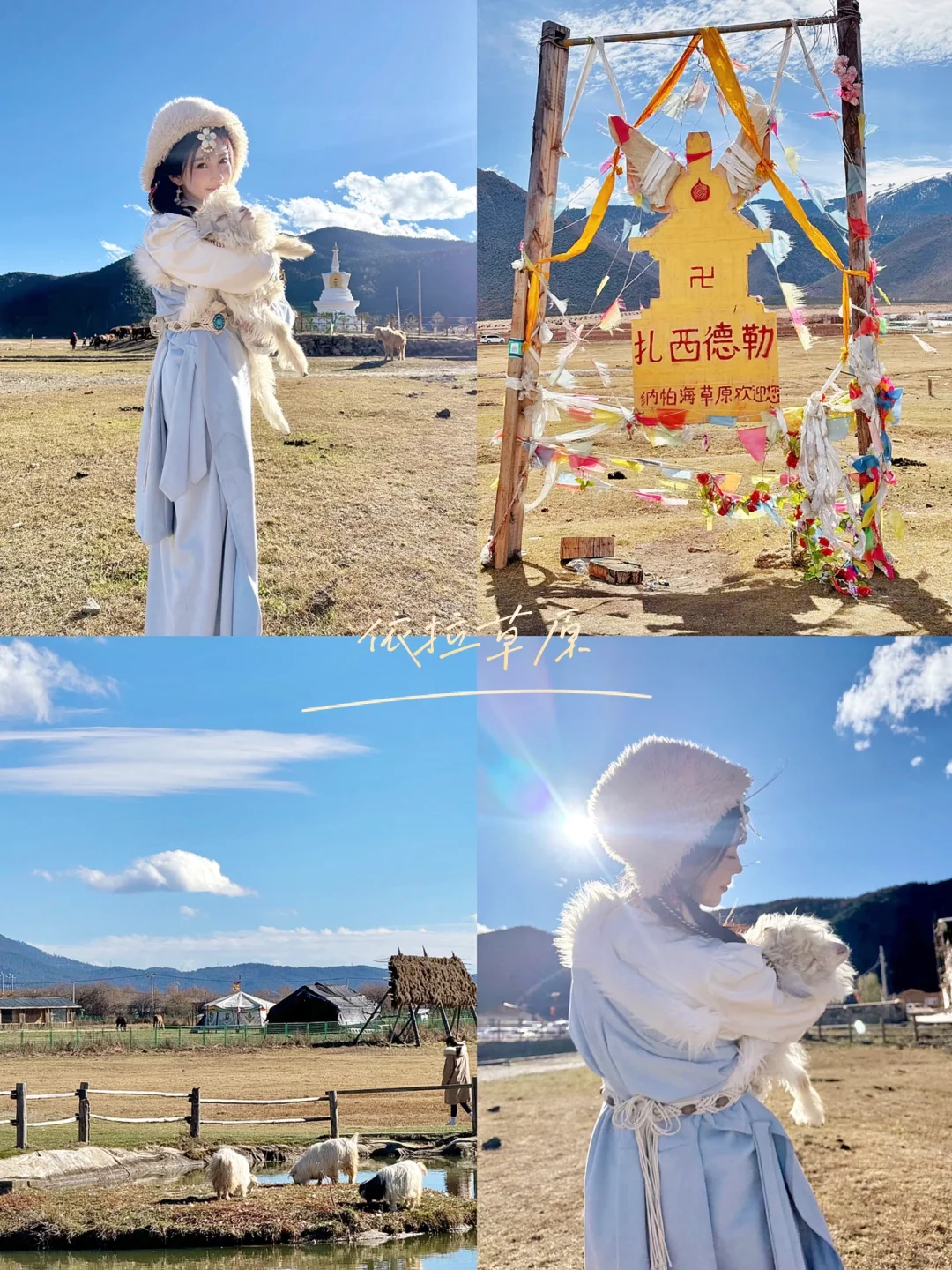 云南旅游👯‍♀️7天人均2600💰，情侣路线分享！