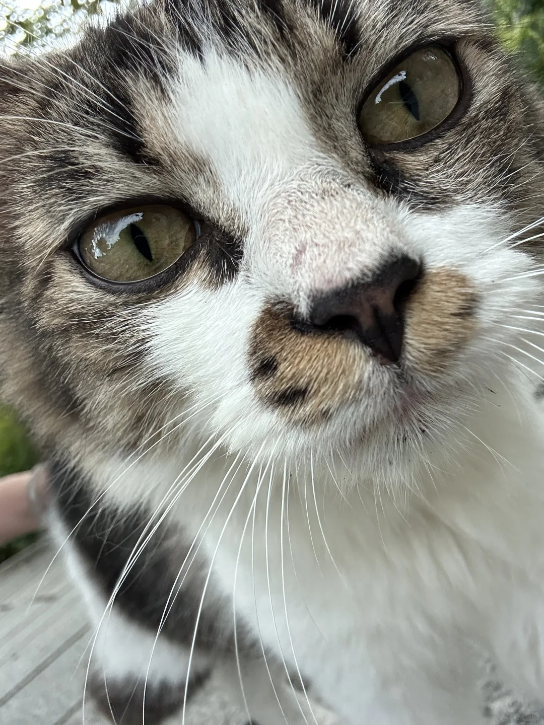 周末离沪计划(4/20)｜福建旅游看这篇就够了！