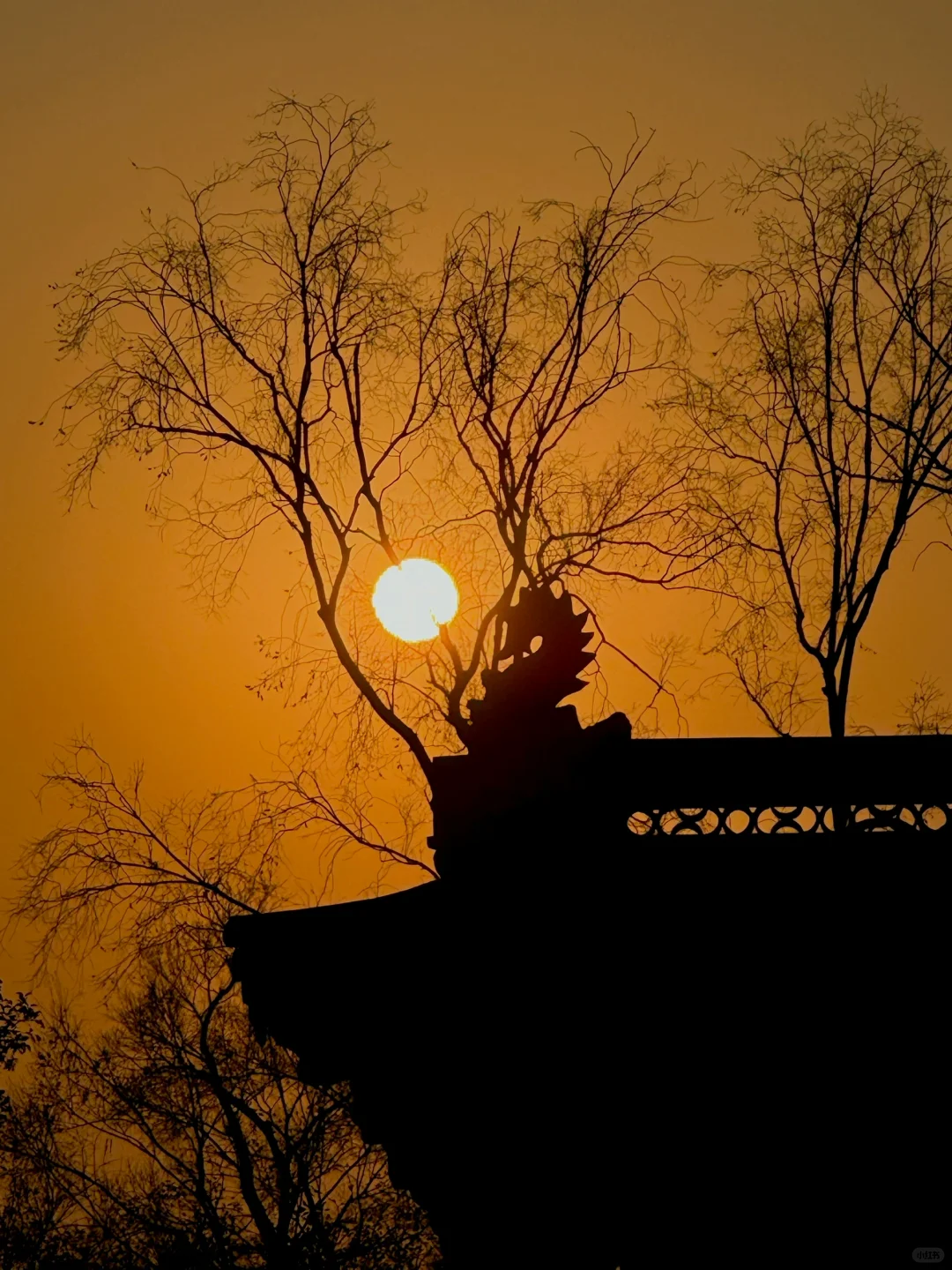 在小红书跟风最成功的一次。。。