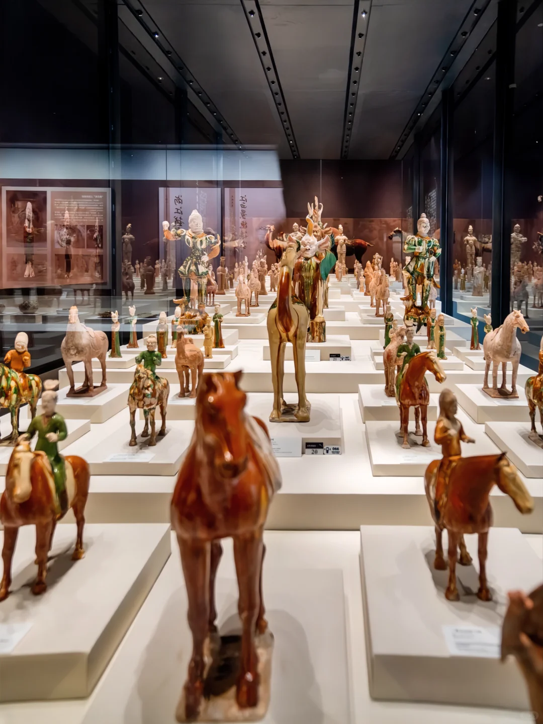 为了这1⃣️3⃣️张图特意飞了趟洛阳