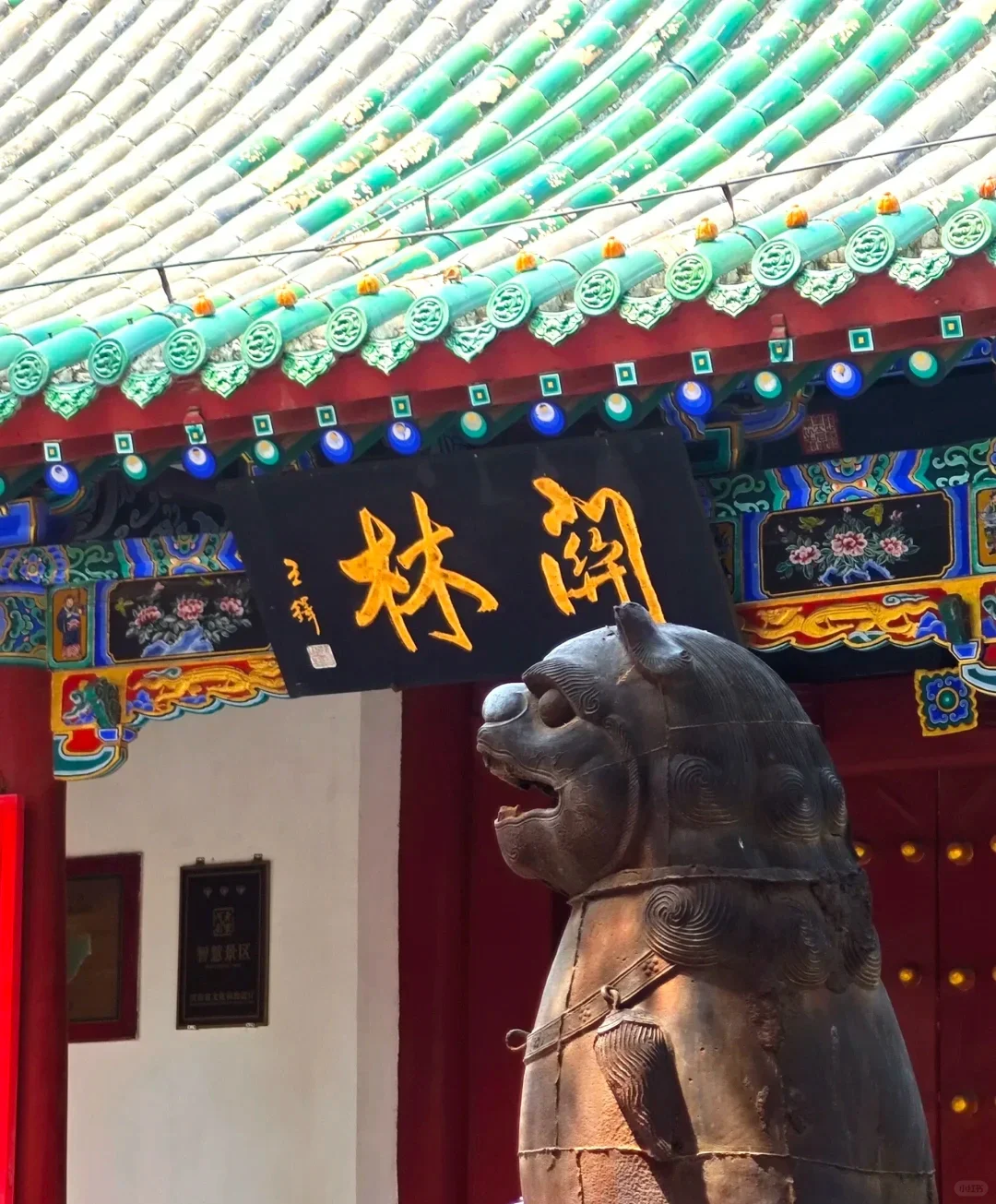 风吹洛阳城 花开盛唐梦